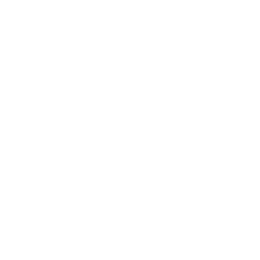 VoterFly